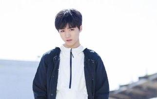 圈内人爆料王俊凯,揭秘明星背后的真实故事 第3张 圈内人爆料王俊凯,揭秘明星背后的真实故事 第3张